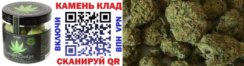 Cannafood конопля  Светогорск 
